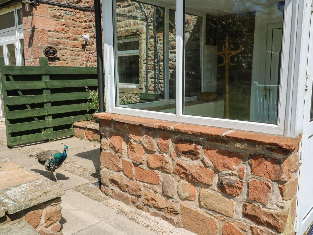 Mousehole Holiday home *